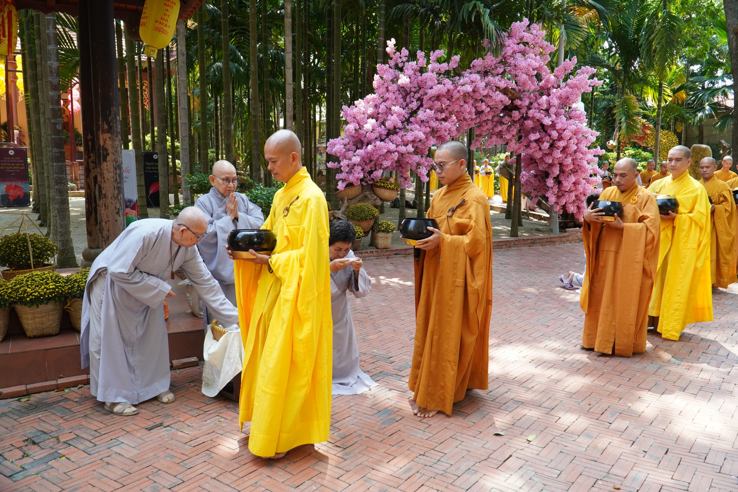 Khất thực gieo duyên của chư hành giả khoá tu “Xuất gia gieo duyên lần 2”插图8