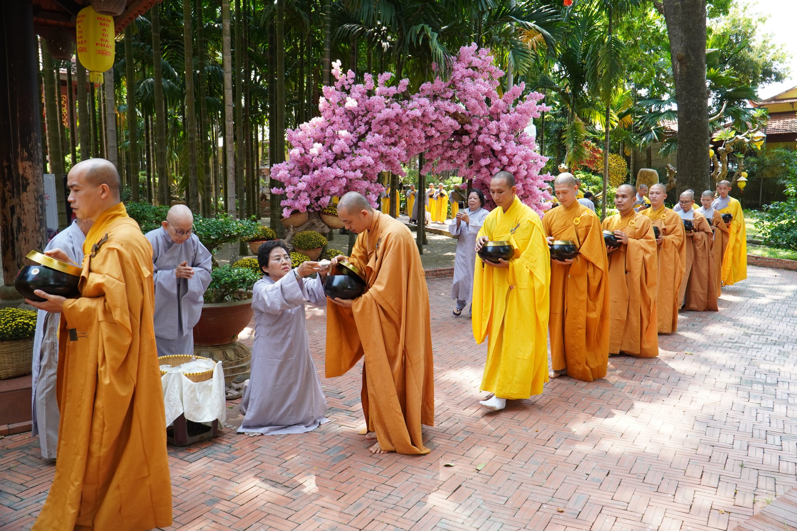 Khất thực gieo duyên của chư hành giả khoá tu “Xuất gia gieo duyên lần 2”插图2