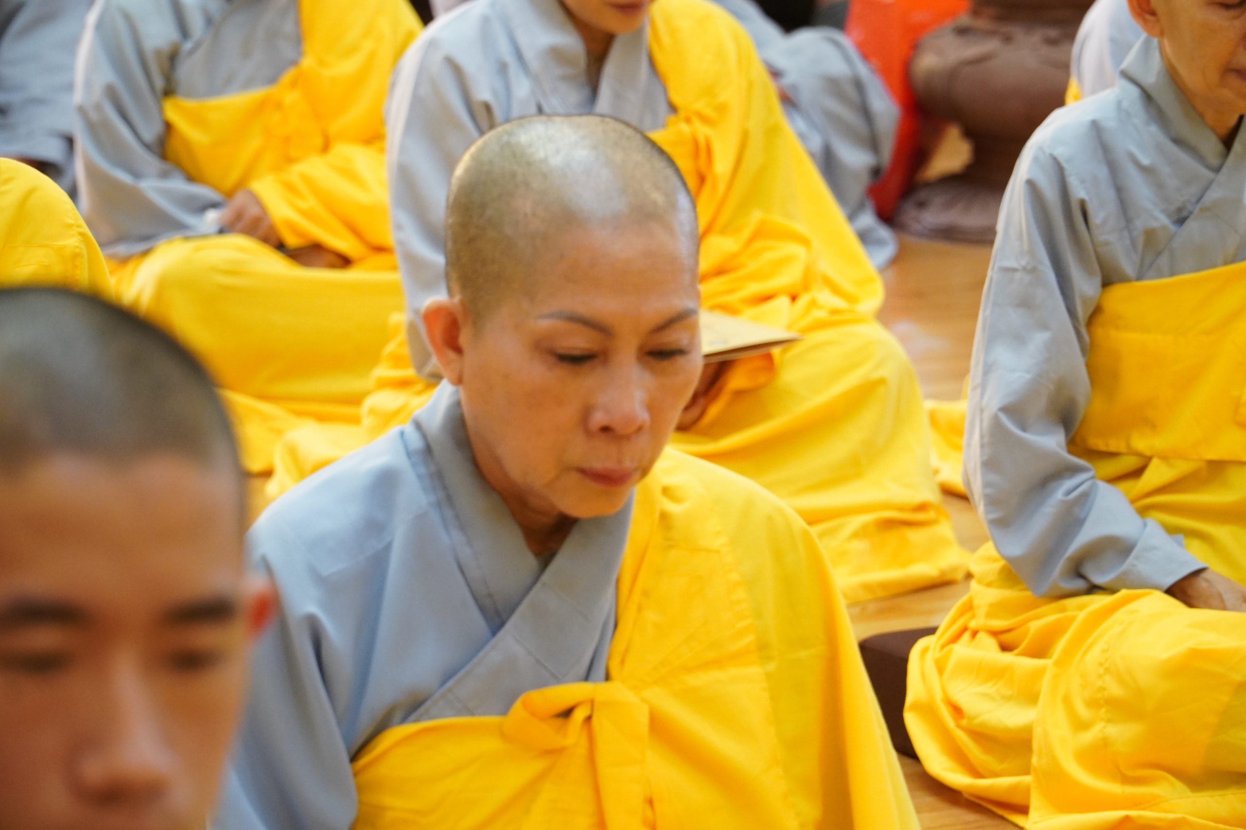 Lễ bế mạc khoá tu “Xuất gia gieo duyên lần 2” với nhiều cảm xúc bùi ngùi, biết ơn của chư hành giả tham dự khoá tu插图5