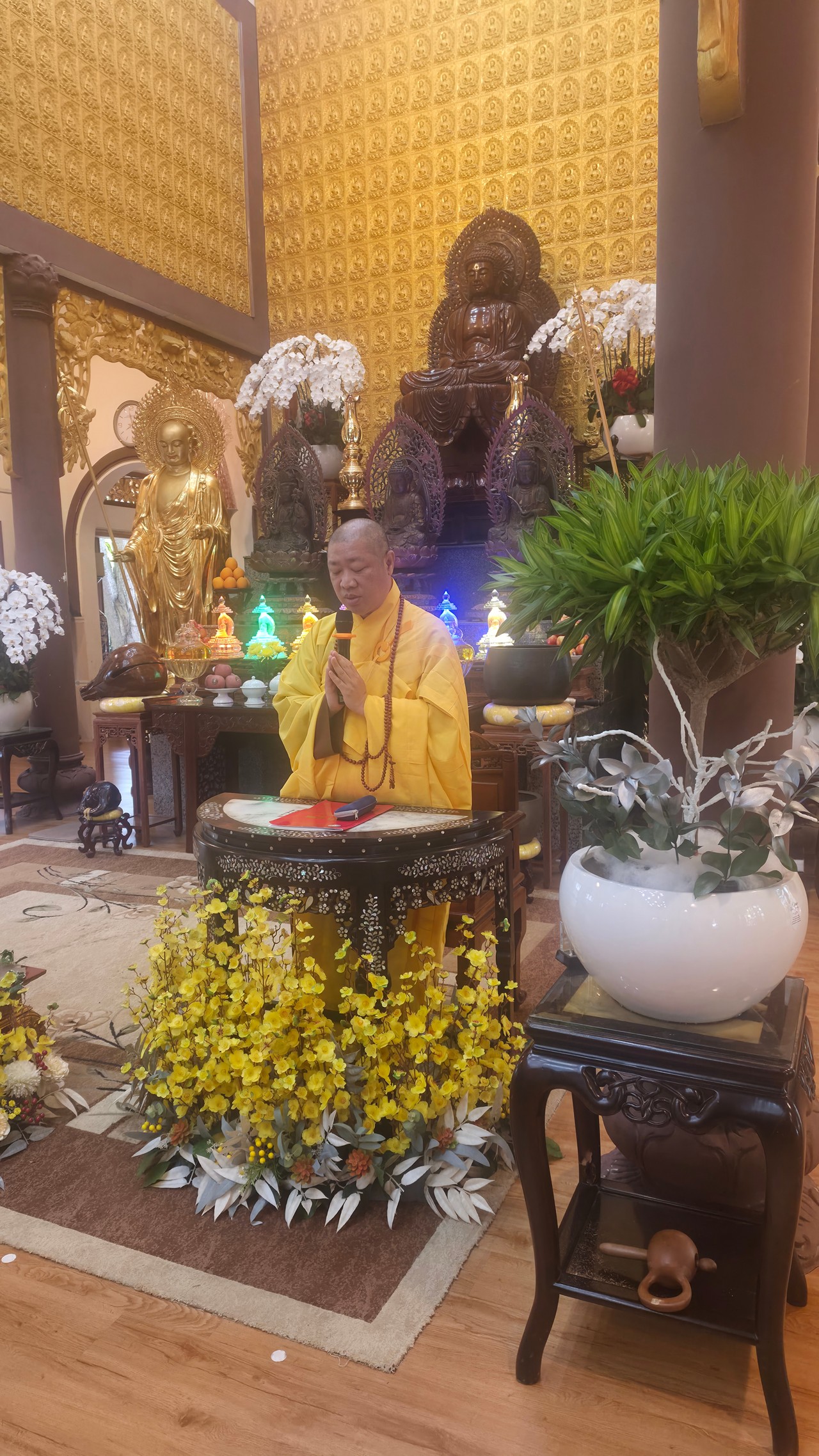 BẢN TIN AN CƯ: NGÀY THỨ 09插图