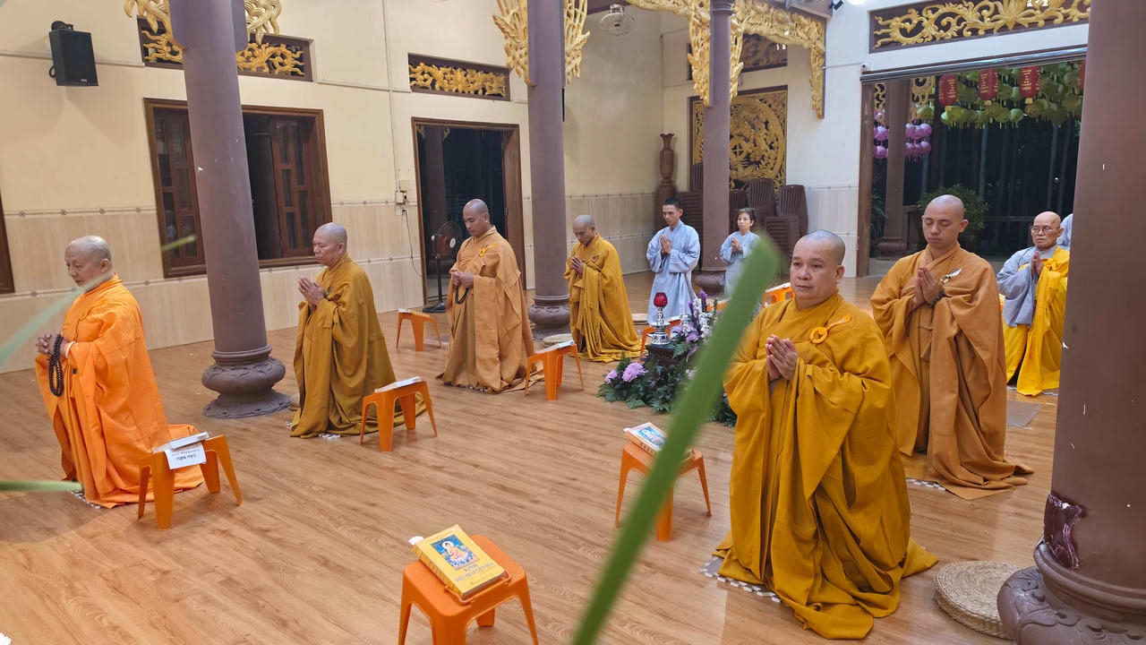 BẢN TIN AN CƯ: NGÀY THỨ 50插图16